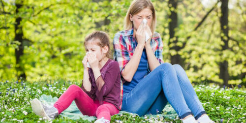 How to prevent pollen allergy