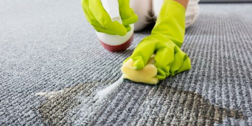 How to remove coffee stains, pet mess, and ink stains from your carpet