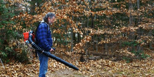 How to spot the best leaf blowers?