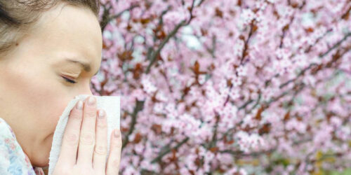 Here are some popular home remedies for Pollen Allergy