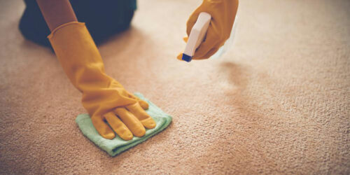 Here&#8217;s why and how to choose the best carpet stain removers