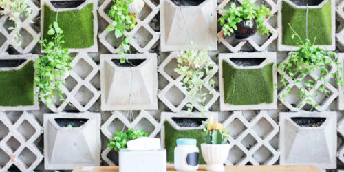 Here&#8217;s how you can brighten up your ordinary interiors using plants