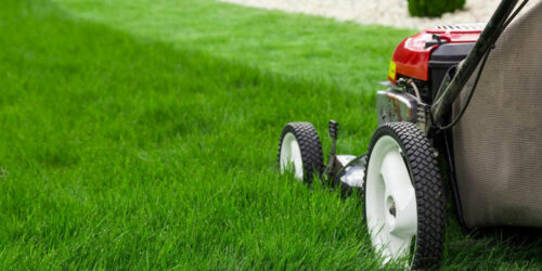 Here&#8217;s how you can choose the best lawn edger