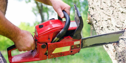 Introduction to chainsaws and STIHL chainsaws