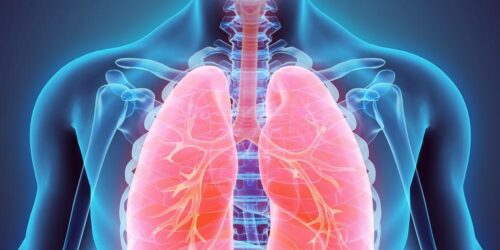 Overview and Statistics of Lung Cancer