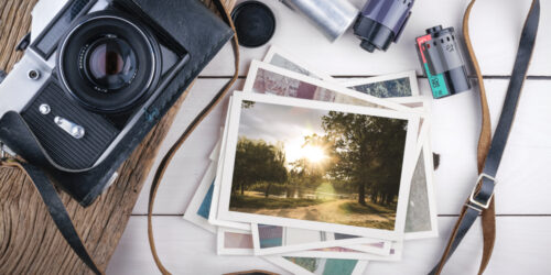 Latest Top Camera Picks Available In The Market