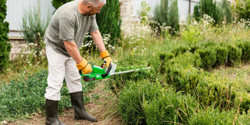 Lawn care services &#8211; what you need to know