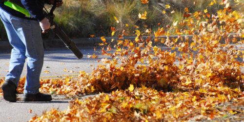 List Of The Best Leaf Blowers In The Market