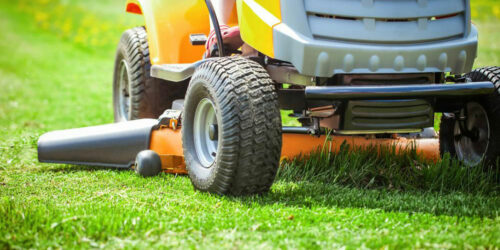 Methods to get rid of crabgrass