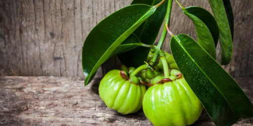 Some cons associated with garcinia cambogia