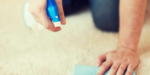 Some vital facts about carpets you should know