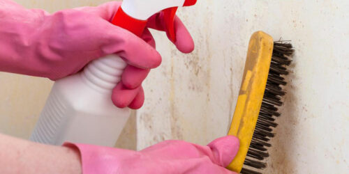 Simple cleaning remedies to ward off mold and mildew growth