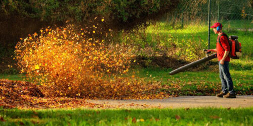 Popular affordable leaf blowers under $100