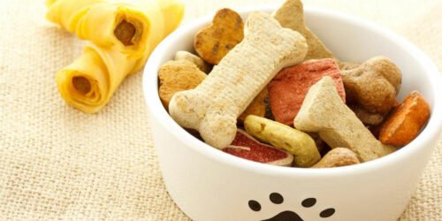 Popular and long lasting dog chew treats