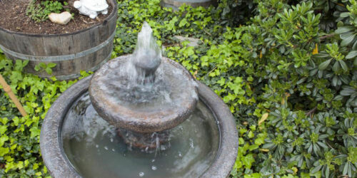 Popular types of water fountains you should know about