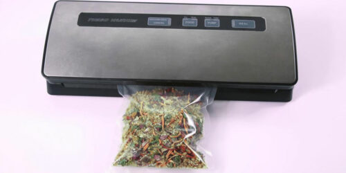 Popular vacuum sealers to minimize food wastage