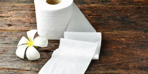 Paper towel wholesale dealers and manufacturers