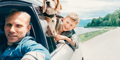 Pet Insurance Coverage For Vet Visits