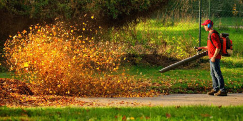 Planning on buying a leaf blower? Here&#8217;s what you need to know