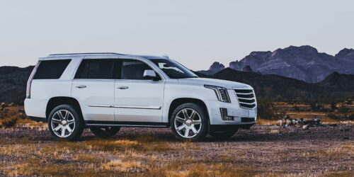 Rental rates for Cadillac SUVs across top agencies