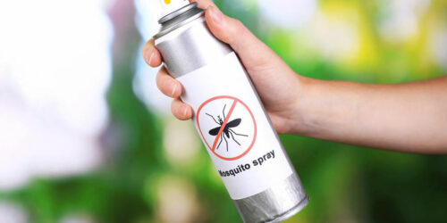 Why are mosquito control measures important for you?