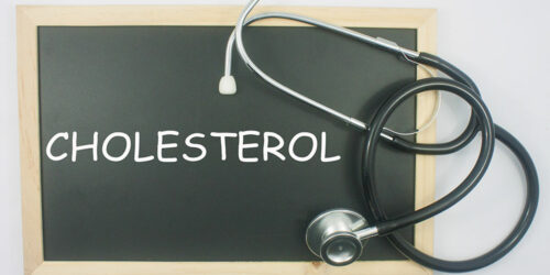 What is cholesterol