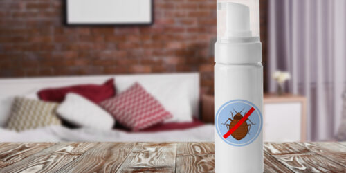 Top 10 Bed Bug Sprays to Choose From