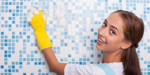 Top 5 Bathroom Cleaners to Choose From