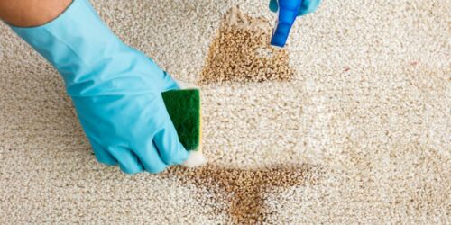 Top 6 ways to keep your carpet clean