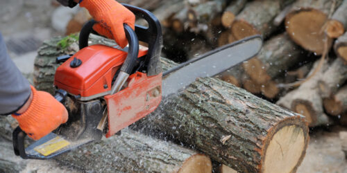 Top Brands to Buy a Chainsaw From