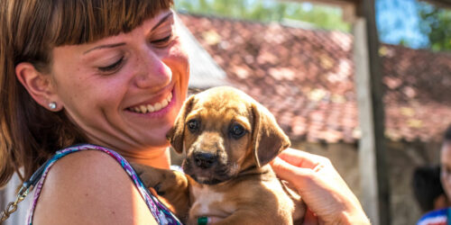 Top ten puppy-adoption centers