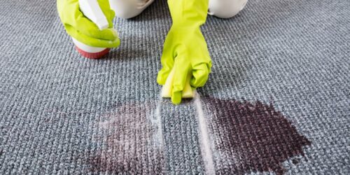 The Best Carpet Stain Removers You Must Know About