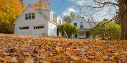 Things to consider before renting a house in the country