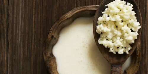 Things that everyone should know about probiotics