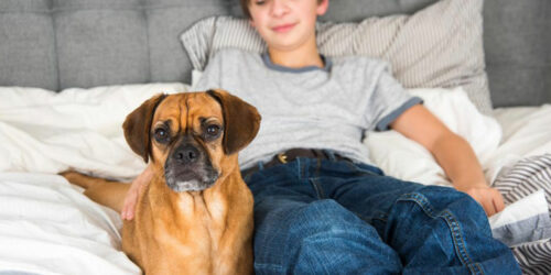 Things you need to know before adopting a dog