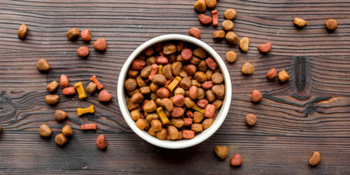 Tips for Buying the Best Dog Food