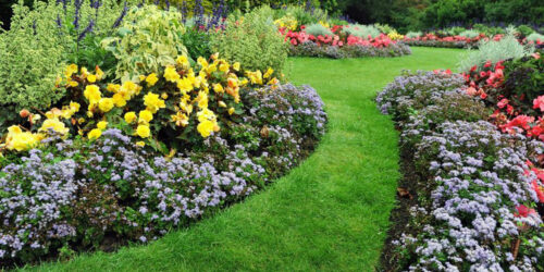 Tips for maintaining a neat and beautiful garden