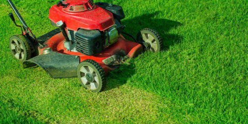 Tips for choosing the best lawn mower