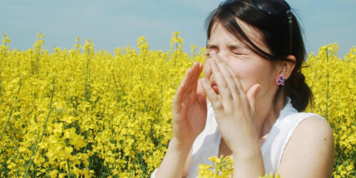 Tips for relief from pollen allergies