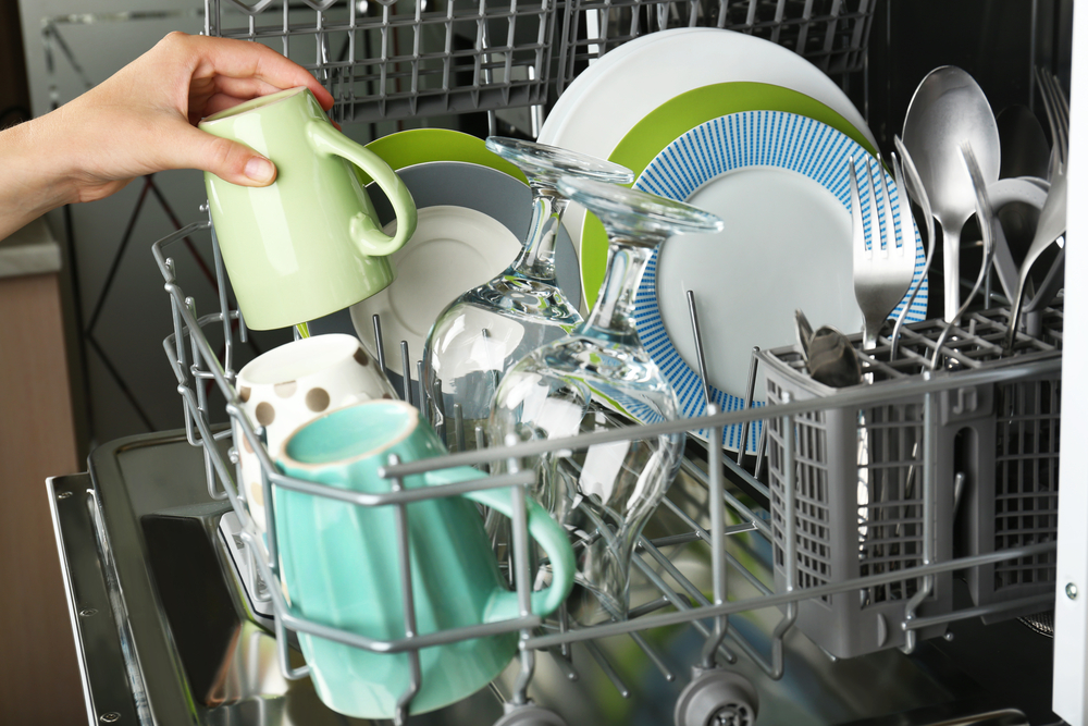 Tips to Keep Your Dishwasher Free from Fungi and Yeast