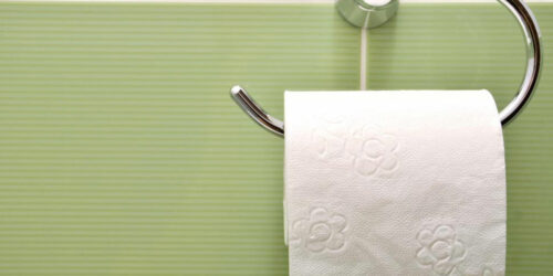 Types of bathroom tissue holders