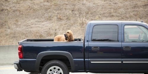 Types of truck bed covers