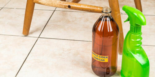 Useful tips to remove the odor of cat urine