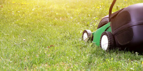 Your guide to choosing an ideal lawn mower