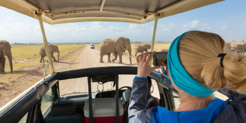 3 African safaris that will offer the best adventure