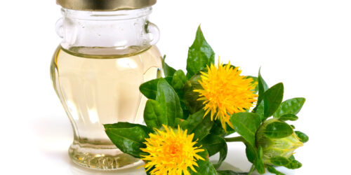 3 Significant Things You Must Know About Cla Safflower Oil