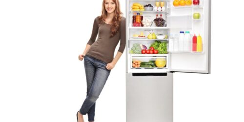 4 Useful Queries To Help You Select The Perfect Refrigerator