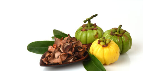 4 Uses Of Garcinia Cambogia