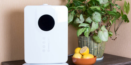 4 best air purifiers in the market right now