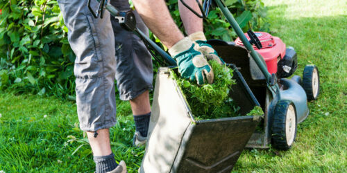 4 best lawn care software for your business